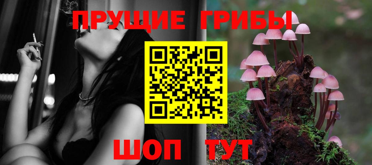Псилоцибиновые грибы MAGIC MUSHROOMS  Вход с VPN  Псилоцибиновые грибы GOLDEN TEACHER  Корсаков 